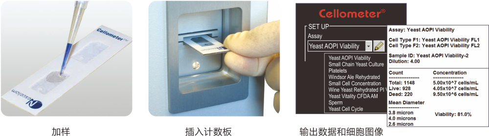 X2 CAOZUO-1.png X2 CAOZUO-1.png